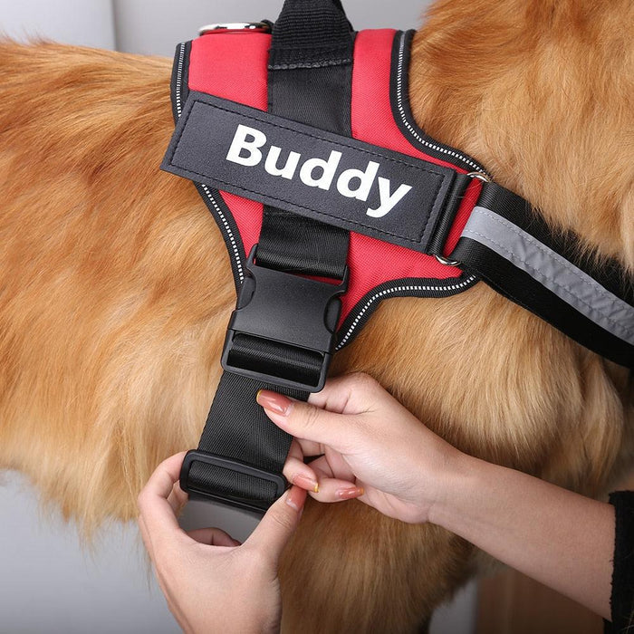 EasyHarness® - Pettorina personalizzata per cani