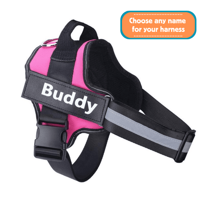 EasyHarness® - Pettorina personalizzata per cani