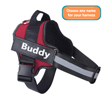 EasyHarness® - Pettorina personalizzata per cani