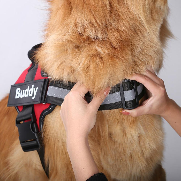 EasyHarness® - Pettorina personalizzata per cani