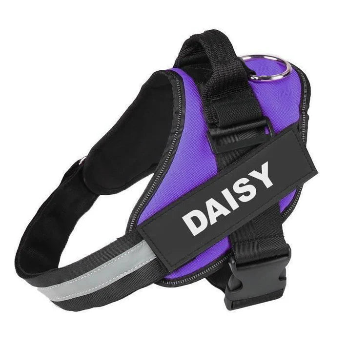 EasyHarness® - Pettorina personalizzata per cani